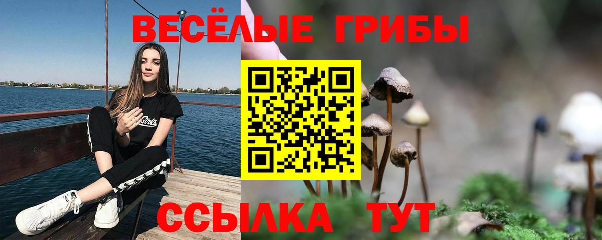 Псилоцибиновые грибы GOLDEN TEACHER Кириши